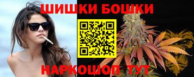 СК Можга
