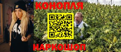 СК Можга
